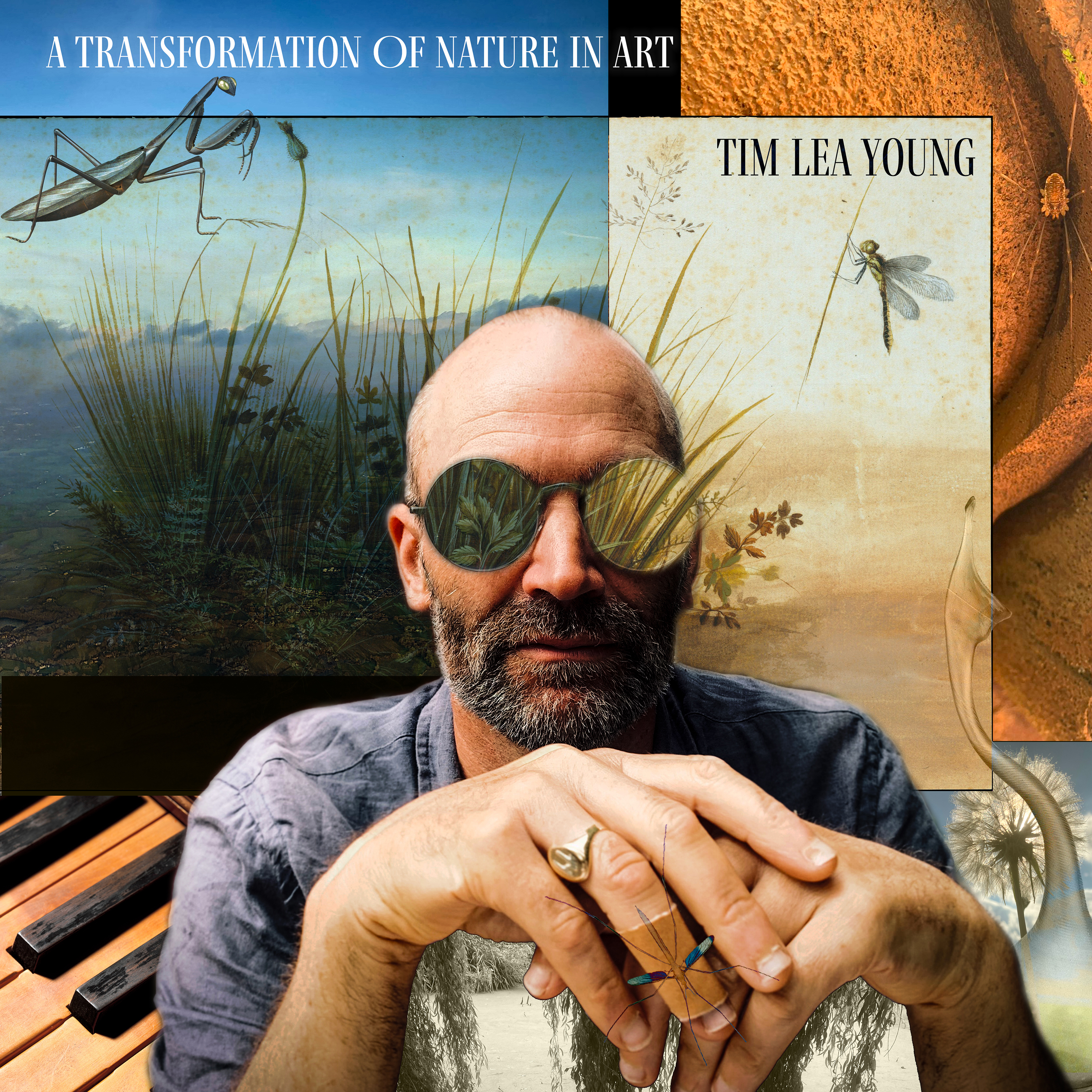 Tim Lea Young — A Transformation of Nature in Art, album cover